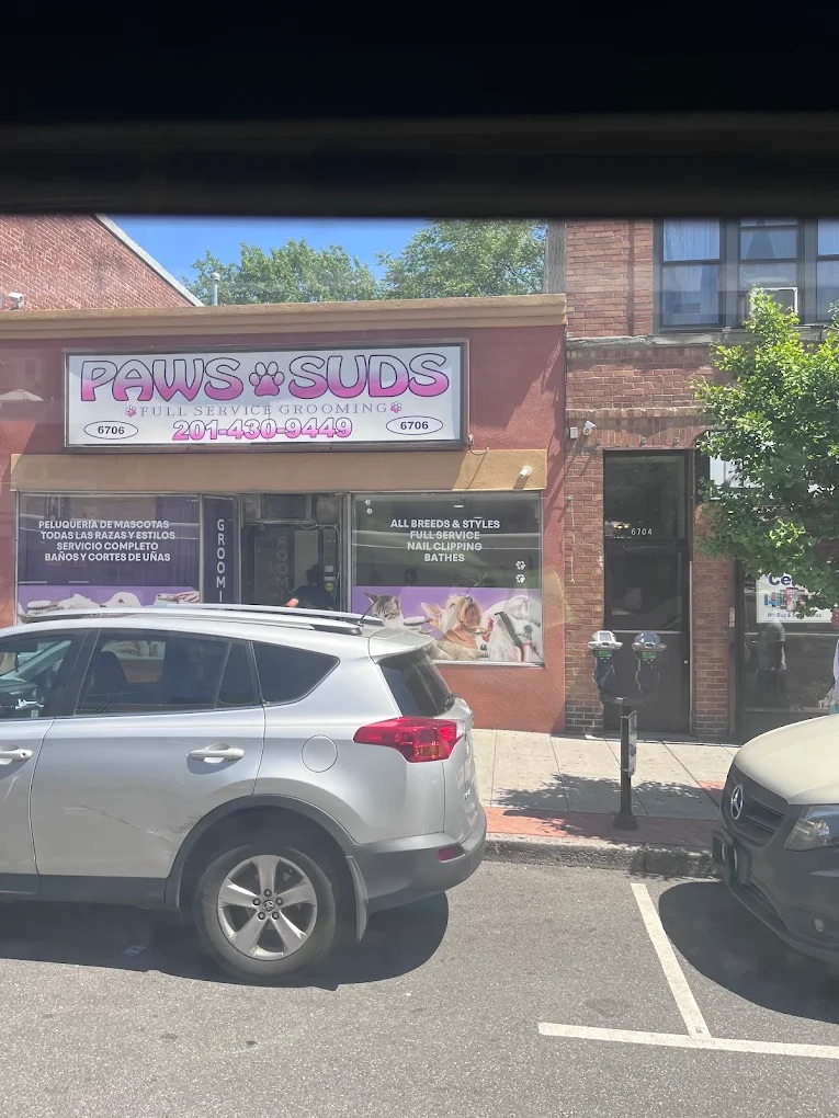 Dog grooming at Paws and Suds West New York